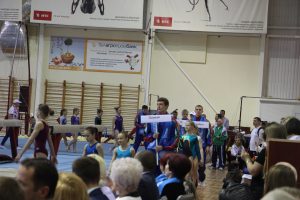 открытые-республиканские-соревнования-по-спортивной-гимнастике-на-призы-Баитовой-2015 (3)