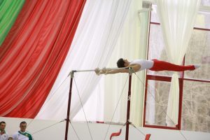 Антонина Кошель 2014 (8)