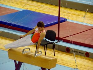Виват 2011 (1)