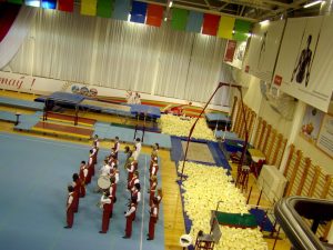 Виват 2011 (11)