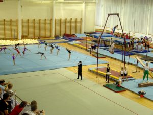Виват 2011 (9)