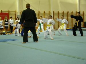 День физкультурника 2013 (12)