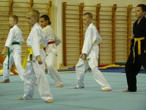 День физкультурника 2013 (13)