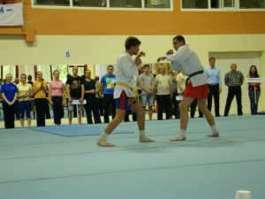 День физкультурника 2013 (14)