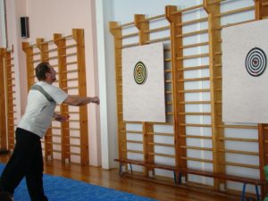 День физкультурника 2013 (17)