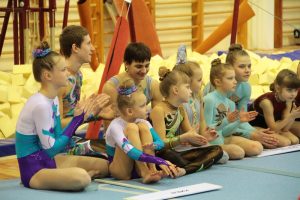 Киндер-сюрприз 2013 (6)