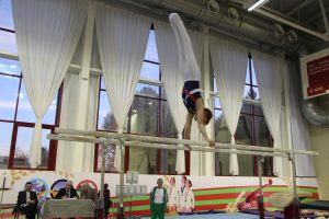 СПАРТАКИАДА ДЮСШ ПО СПОРТИВНОЙ ГИМНАСТИКЕ 2014 (6)
