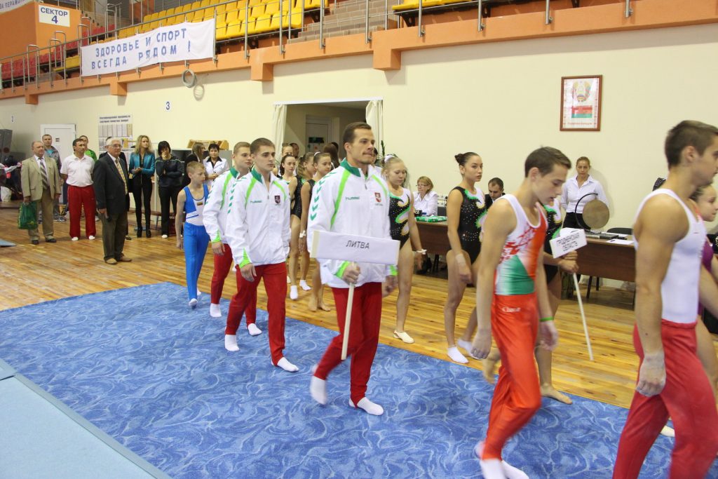 Подведены итоги открытого чемпионата Республики Беларусь по спортивной гимнастике