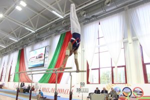 итоги открытого чемпионата Республики Беларусь по спортивной гимнастике 2014 (9)