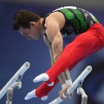 Гимнастика спортивная