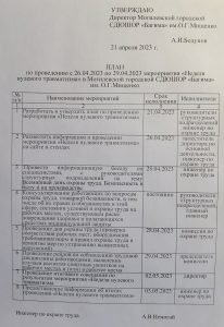 N4207