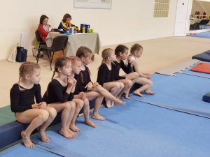 ОТКРЫТОЕ ПЕРВЕНСТВО ГОРОДА МОГИЛЕВА ПО ГИМНАСТИКЕ СПОРТИВНОЙ 2023 (10)