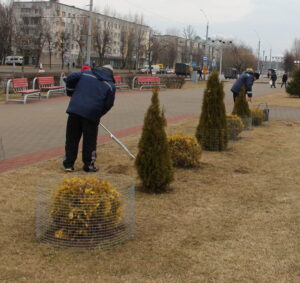 Субботник 2024.04.08 (3)