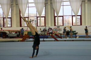 12-13 февраля 2019 года состоялся Открытый кубок Беларуси по спортивной гимнастике (20)