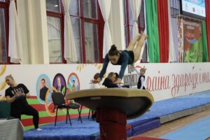 12-13 февраля 2019 года состоялся Открытый кубок Беларуси по спортивной гимнастике (22)