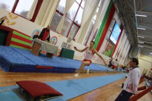 12-13 февраля 2019 года состоялся Открытый кубок Беларуси по спортивной гимнастике (9)