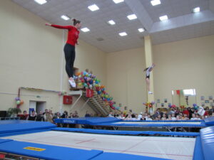 13-14 ноября 2015 в Могилеве прошел открытый Чемпионат СДЮШОР Багима им.О.Г. Мищенко по прыжкам на батуте