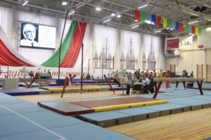 19-21 февраля 2015 во Дворце гимнастики г. Могилева прошел Открытый Кубок РБ памяти ЗТРБ Р. Ваткина по спортивной гимнастике (8)