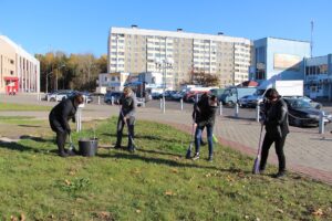 19 октября 2019 года СДЮШОР Багима приняла участие в областном субботнике! (9)