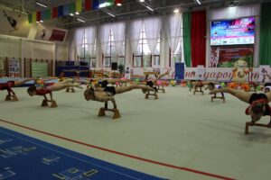 23 июня 2016 года в Могилевском Дворце гимнастики состоялось физкультурно-спортивное мероприятие «Виват, гимнастика»!» (5)