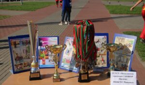 26 августа 2016 во Дворце гимнастики прошла Областная августовская конференция педагогических работников (1)