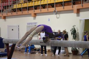 28.08.19 г прошел ОТКРЫТЫЙ ЧЕМПИОНАТ БЕЛАРУСИ ПО ГИМНАСТИКЕ СПОРТИВНОЙ (9)
