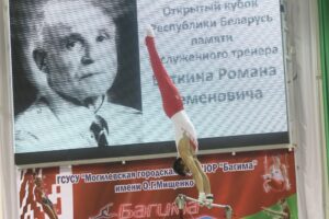 31 марта 2016 во Дворце гимнастики прошел Открытый Кубок РБ памяти ЗТ РБ Р. Ваткина по спортивной гимнастике! (12)