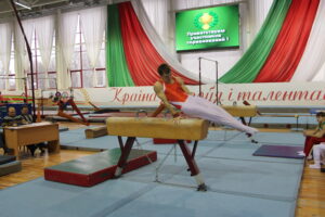 5-6 февраля 2015 года прошел Кубок Могилевской области по гимнастике спортивной (9)