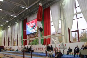 7 октября 2016 прошел турнир по спортивной гимнастике на призы шестикратного олимпийского чемпиона Виталия Щербо (20)