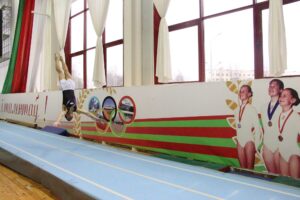 Во Дворце гимнастике прошел Открытый чемпионат и первенство Могилевской области по прыжкам на акробатической дорожке 2019 (1)