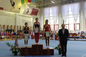 Первенство Республики по спортивной гимнастике 11-2014 (6)