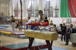 Подведены итоги Чемпионата РБ и международного турнира на призы ОЧ В.Щербо по спортивной гимнастике 2015 (9)