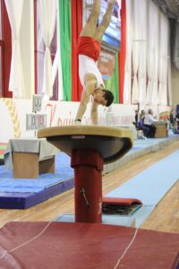 Результаты первенства РБ по спортивной гимнастике 15-18 ноября 2016 (6)