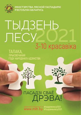 С 3 по 10 апреля в Беларуси пройдет республиканская добровольная акция «Неделя леса», посвященная Году народного единства