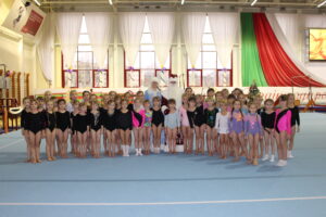 кубок СДЮШОР Багима по спортивной гимнастике 12-2014 (4)