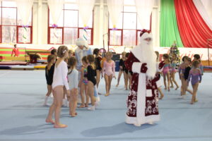 кубок СДЮШОР Багима по спортивной гимнастике 12-2014 (5)