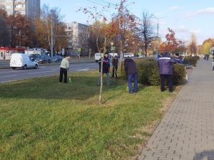 IMG_20231103_143849