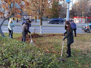 IMG_20231103_144953