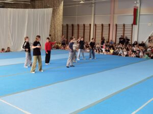 IMG_20250611_113105