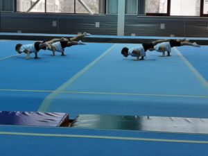 IMG_20251128_121348