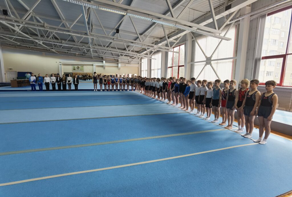 В МОГИЛЕВЕ ПРОШЛО ОТКРЫТОЕ ПЕРВЕНСТВО ОБЛАСТИ ПО ПРЫЖКАМ НА АКРОБАТИЧЕСКОЙ ДОРОЖКЕ.